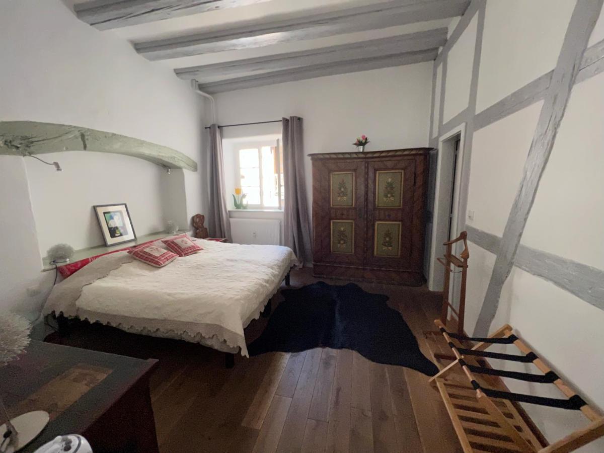 Gite BI UNS chez Silvana Colmar Extérieur photo