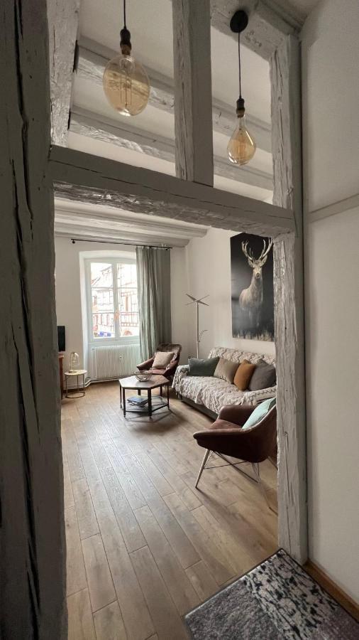 Gite BI UNS chez Silvana Colmar Extérieur photo