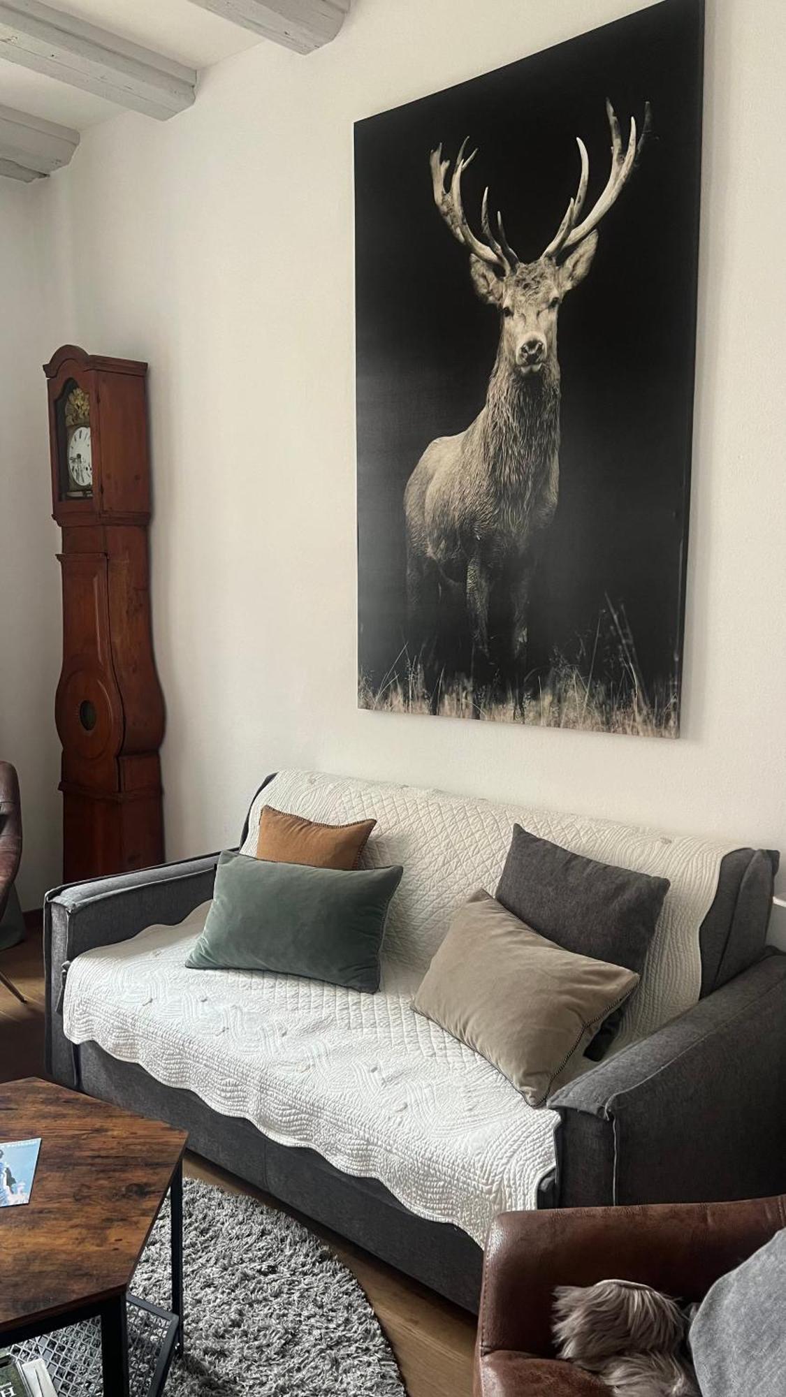 Gite BI UNS chez Silvana Colmar Extérieur photo